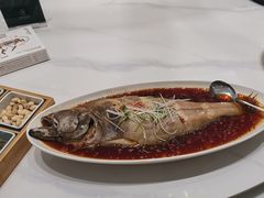 -华夏盛宴(赵都新城店)