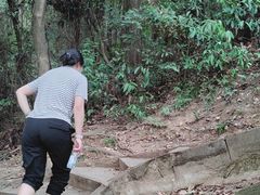 -火炉山森林公园