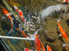 -太平洋海底世界