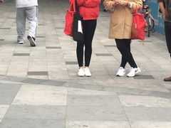 -深圳市南山文体中心-羽毛球馆