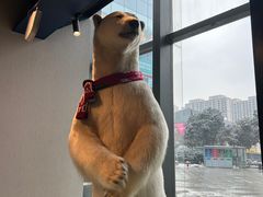 -魏客咖啡(中铁中心店)