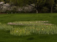 -COSTA COFFEE(西湖天地店)