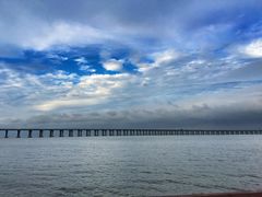 -宝安西湾红树林湿地公园