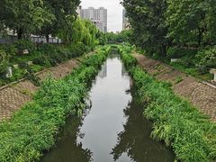 -原鄉本味 楚菜 丹江口鱼(北苑店)