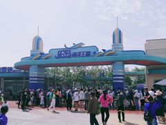 -秦皇岛乐岛海洋王国