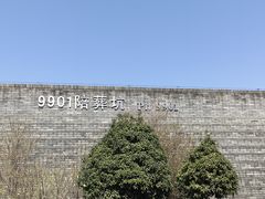 -秦始皇帝陵博物院-丽山园
