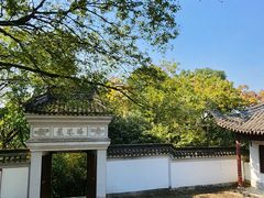 -上海佘山国家森林公园天马山园