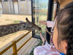 -西霞口神雕山野生动物世界