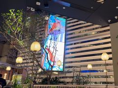 -桂满陇·海市蜃楼·黑金(国金店)