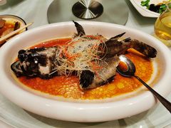 清蒸石斑鱼-酌宴府The China Club·广州万富希尔顿酒店(云城东路店)