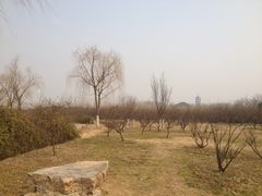 -蜀冈西峰生态公园