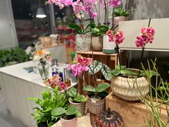 -dotcom coffee古点咖啡(致真大厦店)