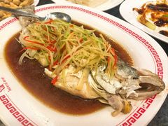 -中国城银都鱼翅酒楼
