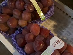 -马陆小张葡萄园农家乐