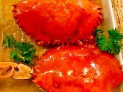 -茉莉.Red Crab