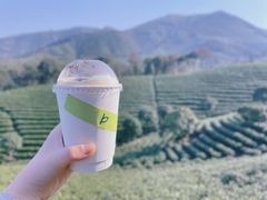 山坞红叶拿铁-白茶原·一片叶子
