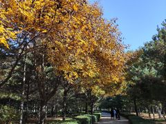 -森林公园(尖草坪区)