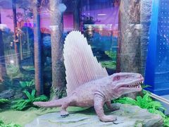 -国家自然博物馆