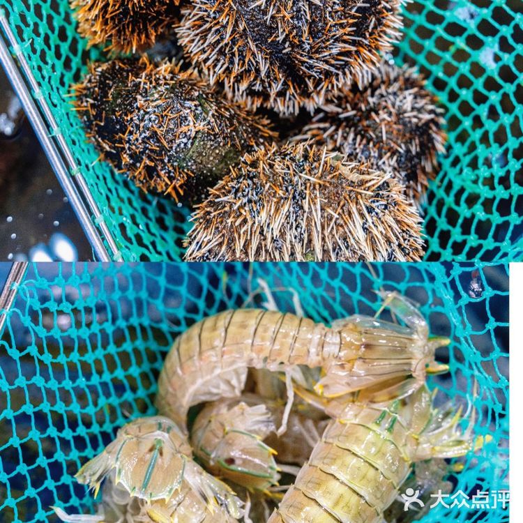 神级海鲜—非小胡子海鲜莫属