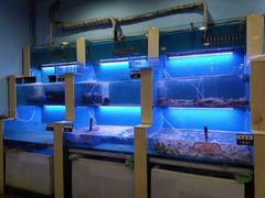 水产区-老虎滩大连海鲜烧烤(建邺云锦路总店)