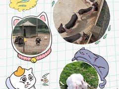 -前小桔亲子创意农场·草莓采摘·露营烧烤