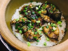 -红星光发煲仔饭(文海店)