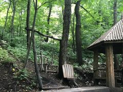 -天女山森林公园