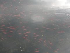 -烈士陵园(地铁站)