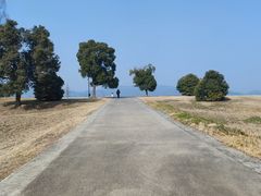 -良渚古城遗址公园