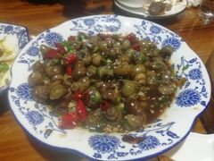 -呼吸森林·生态农庄农家乐私房菜