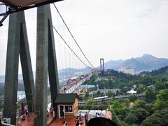 -西霞口神雕山野生动物世界