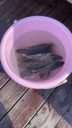 -小蜜蜂农场(凯德七宝购物广场店)