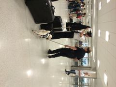 iphone_upload_pic-华盛顿杜勒斯国际机场