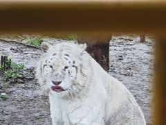 -上海野生动物园