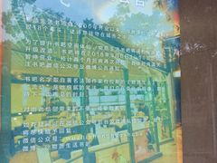 -物质生活书·酒吧