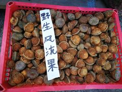 -南昆山川龙瀑布