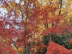 -杭州城北体育公园