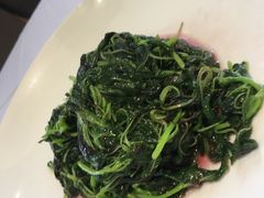 -沪碟·精菜坊(闵行店)