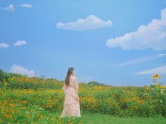 -映月湖中央公园