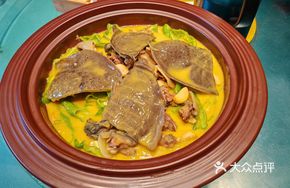 Hanshou Old Turtle from Changde