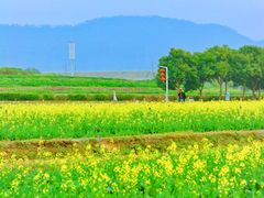 -光明小镇欢乐田园