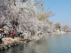 -颐和园