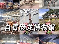 -自贡恐龙博物馆