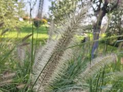 -汉长安城未央宫国家考古遗址公园