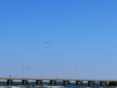 -ChanDu躔度咖啡(灯塔店)