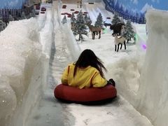 -世界之窗阿尔卑斯冰雪世界
