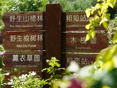 -密云玫瑰情园