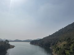 -清溪森林公园