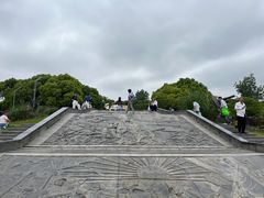 -上海吴淞炮台湾国家湿地公园