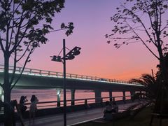 -演武大桥观景平台